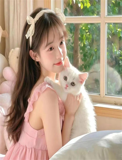 【幕后故事】《街头小吃摊》的斯坦尼康的稳定运动与流畅感 带你了解电影制作的点点滴滴