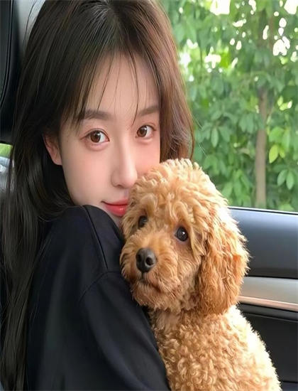 蓝光原盘：《顾总夫人她叒虐渣了》场景布置分析革命性的：环境设计与主题呼应探讨